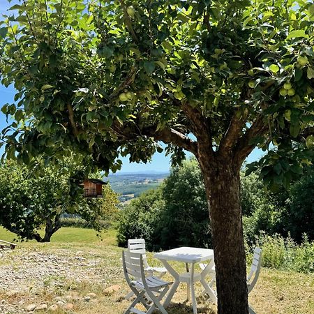 Gite Chez Polo Villa Chateauneuf-de-Galaure Dış mekan fotoğraf